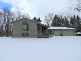 Minnewaukan Lake Home For Sale in Sturgis Michigan