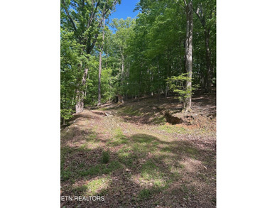 Deep Water Luxury & Mountain Vistas on 2.9 Acres in Cove - photo 1