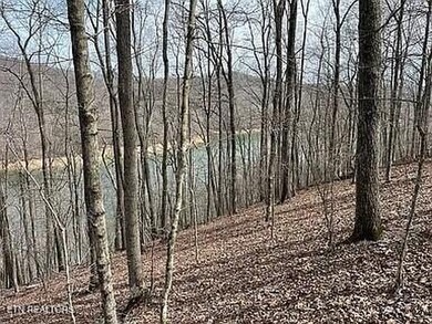 Deep Water Luxury & Mountain Vistas on 2.9 Acres in Cove - photo 2