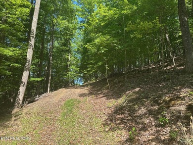 Deep Water Luxury & Mountain Vistas on 2.9 Acres in Cove - photo 3