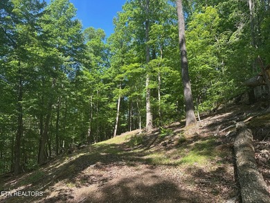 Deep Water Luxury & Mountain Vistas on 2.9 Acres in Cove - photo 4