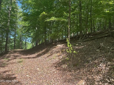 Deep Water Luxury & Mountain Vistas on 2.9 Acres in Cove - photo 5