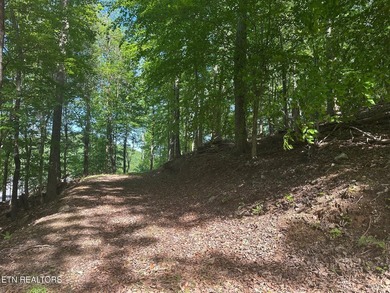 Deep Water Luxury & Mountain Vistas on 2.9 Acres in Cove - photo 6