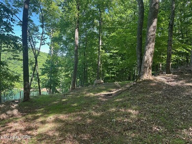 Deep Water Luxury & Mountain Vistas on 2.9 Acres in Cove - photo 7