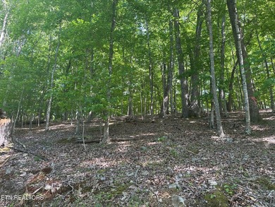 Deep Water Luxury & Mountain Vistas on 2.9 Acres in Cove - photo 8