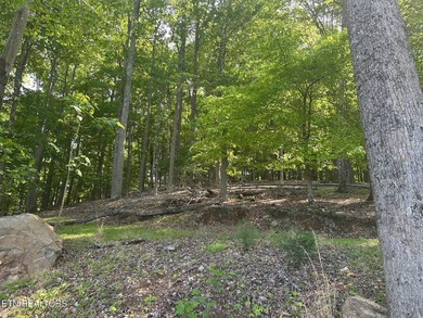 Deep Water Luxury & Mountain Vistas on 2.9 Acres in Cove - photo 10