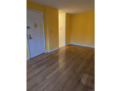 Welcome to this charming sunlit 1-bedroom, 1-bathroom co-op - photo 4