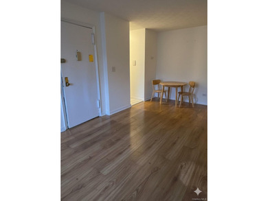 Welcome to this charming sunlit 1-bedroom, 1-bathroom co-op - photo 5