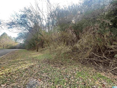 (private lake, pond, creek) Acreage For Sale in Graysville Alabama