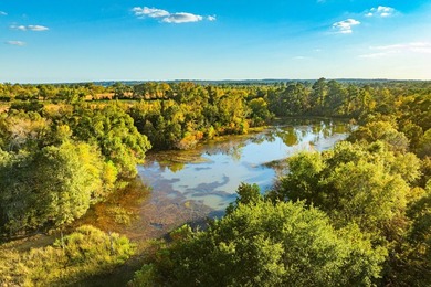 Lake Palestine Ranch is a rare offering, being the largest - photo 16