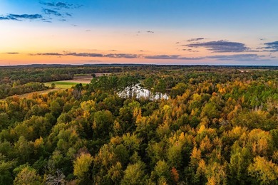 Lake Palestine Ranch is a rare offering, being the largest - photo 18