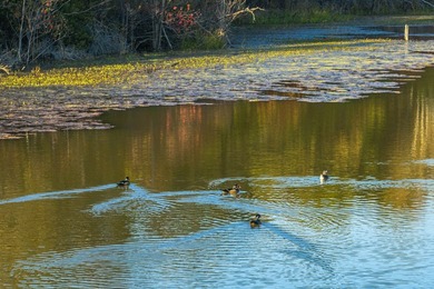 Lake Palestine Ranch is a rare offering, being the largest - photo 28