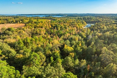 Lake Palestine Ranch is a rare offering, being the largest - photo 30