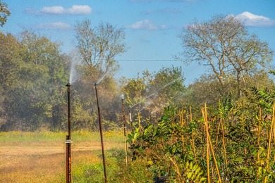 Lake Palestine Ranch is a rare offering, being the largest - photo 34