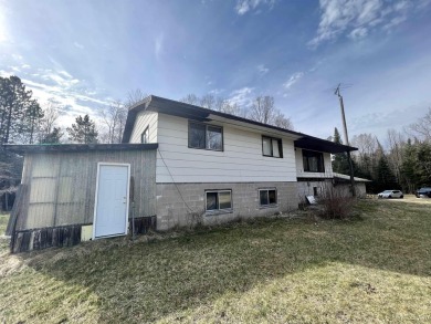 Pickerel Lake - Dickinson County Home For Sale in Felch Michigan