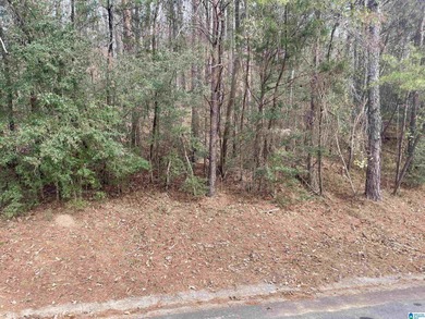 (private lake, pond, creek) Lot For Sale in Birmingham Alabama