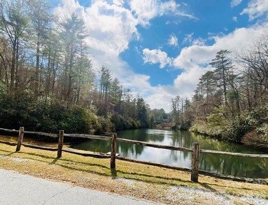 Discover the perfect lot in the desirable Indian Lakes Community - photo 11