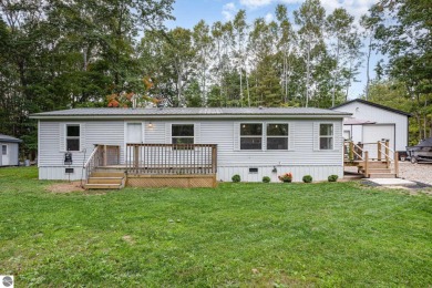 Lake Home For Sale in Crystal, Michigan