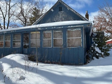 Lake Big Wolf  Home For Sale in Lewiston Michigan