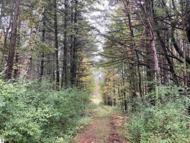 Lake Acreage For Sale in Lupton, Michigan