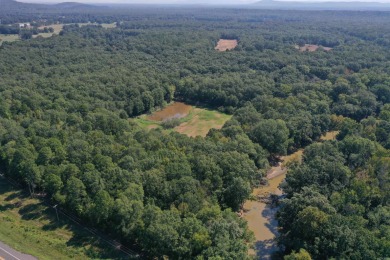 Lake Acreage For Sale in Ola, Arkansas