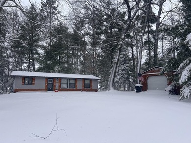 Lake St Helen Home For Sale in Saint Helen Michigan