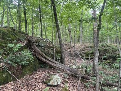 A very level Lot with rock ledge and boulder features at the - photo 3