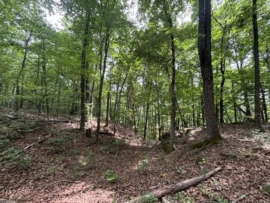 A very level Lot with rock ledge and boulder features at the - photo 4