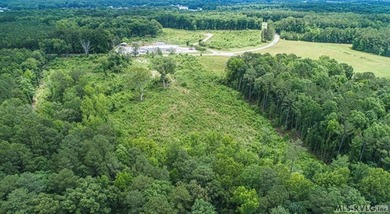 LOCATION, LOCATION, LOCATION! This prime mixed-use land sits - photo 5