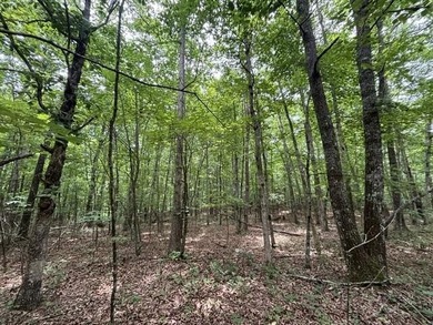 A very level Lot with rock ledge and boulder features at the - photo 6