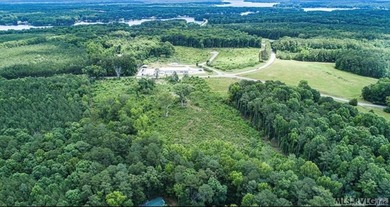 LOCATION, LOCATION, LOCATION! This prime mixed-use land sits - photo 7