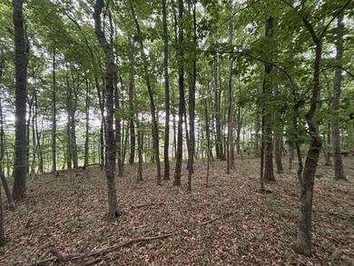A very level Lot with rock ledge and boulder features at the - photo 8