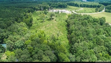 LOCATION, LOCATION, LOCATION! This prime mixed-use land sits - photo 8