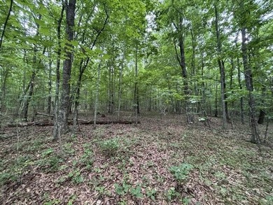 A very level Lot with rock ledge and boulder features at the - photo 9