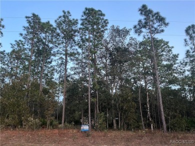 Withlacoochee River Lot For Sale in Citrus Springs Florida