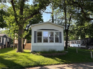 Lake Home For Sale in South Haven, Minnesota