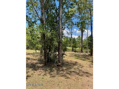 Large waterfront lot on the Mississippi Gulf Coast in the - photo 2