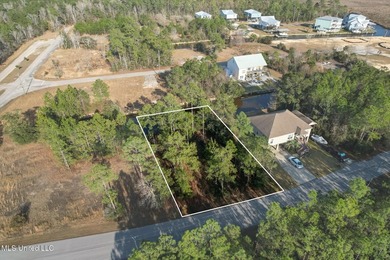 Large waterfront lot on the Mississippi Gulf Coast in the - photo 3