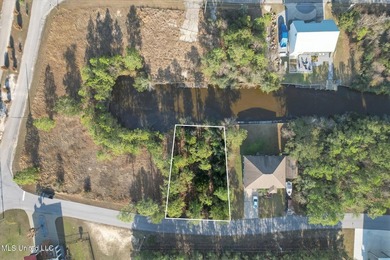 Large waterfront lot on the Mississippi Gulf Coast in the - photo 5