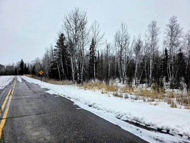 Triangle shaped lot just south of Int'l Falls. Borders county - photo 2