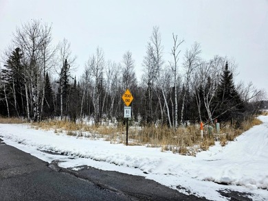 Triangle shaped lot just south of Int'l Falls. Borders county - photo 3