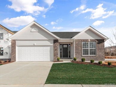 Lake Home For Sale in Eureka, Missouri