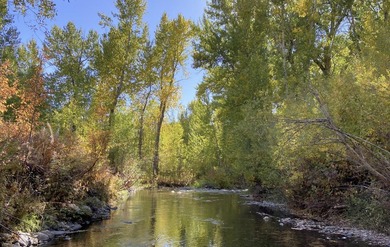 Private and serene, with spectacular East Fork creek frontage - photo 38