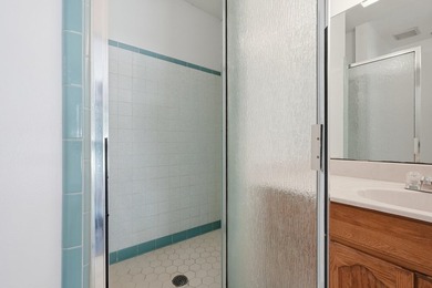 Spacious 3-Bedroom, 2-Bath All-Brick Home in Desirable Palm - photo 41