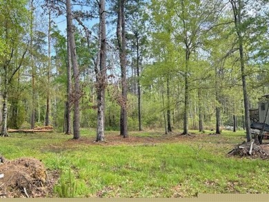 Lake Lot For Sale in Springfield, Louisiana