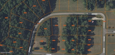 Lake Tabor Lot For Sale in Tabor City North Carolina