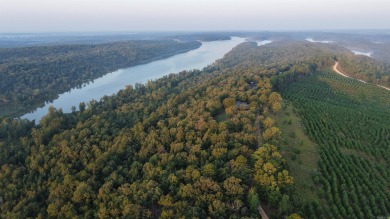 WELCOME TO 301 STORY CREEK ROAD- A BEAUTIFUL 5.09+/- ACRE - photo 8