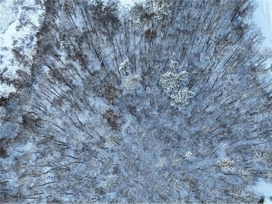 (private lake, pond, creek) Acreage For Sale in Pine River Minnesota