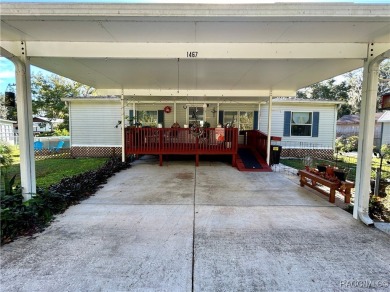 Lake Panasoffkee Home For Sale in Lake Panasoffkee Florida