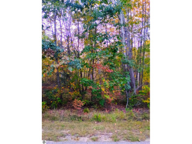 Smallwood Lake Acreage For Sale in Gladwin Michigan